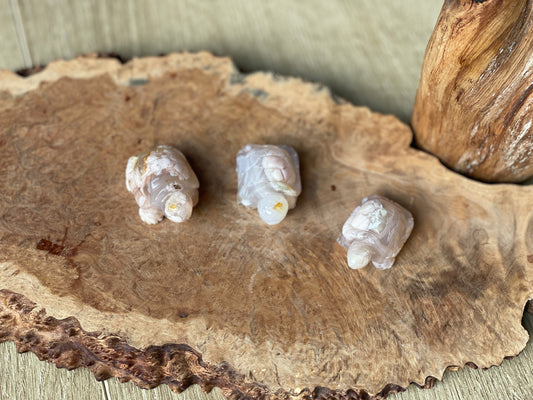 Flower agate small turtles