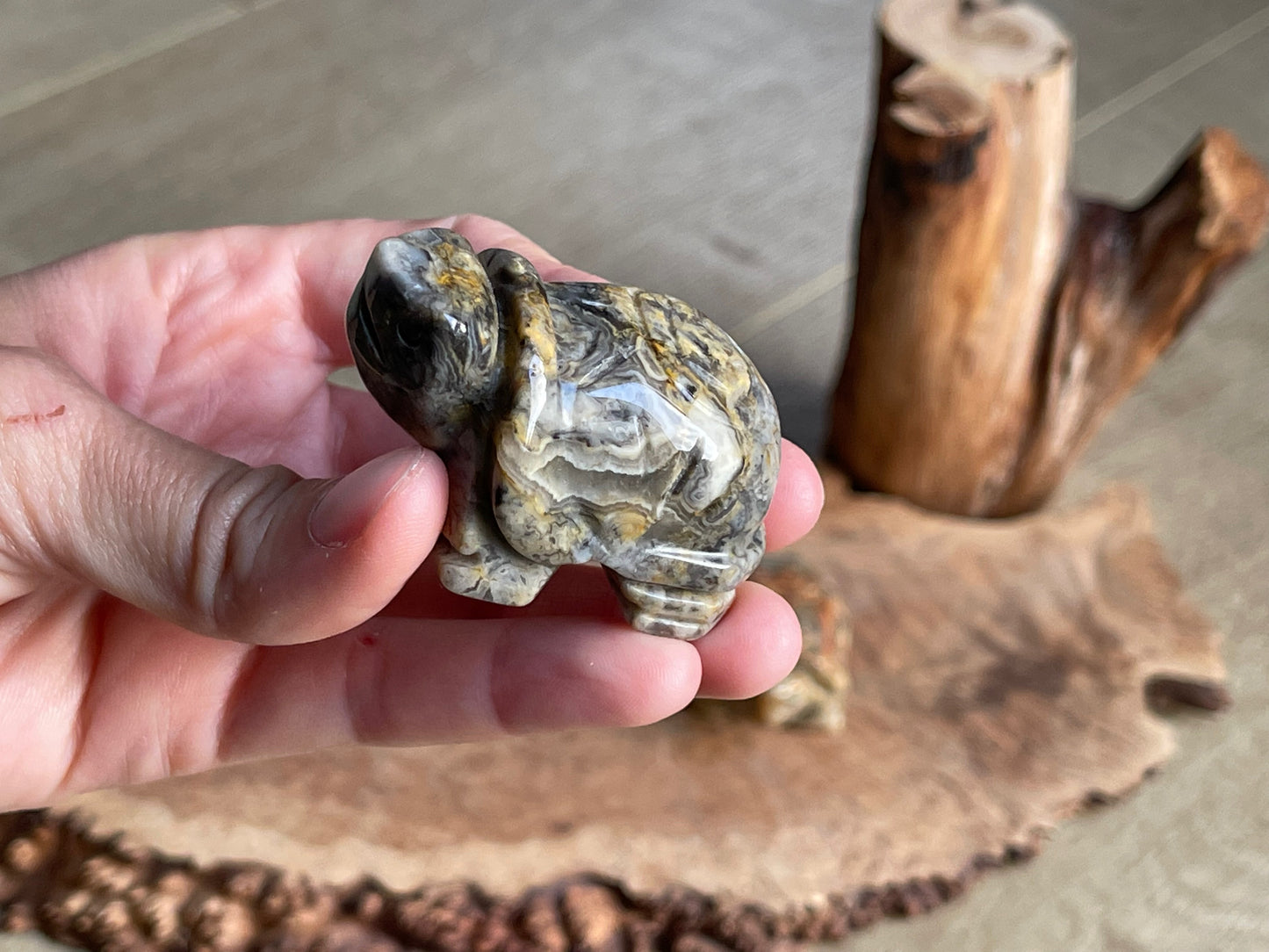 Carved turtles medium