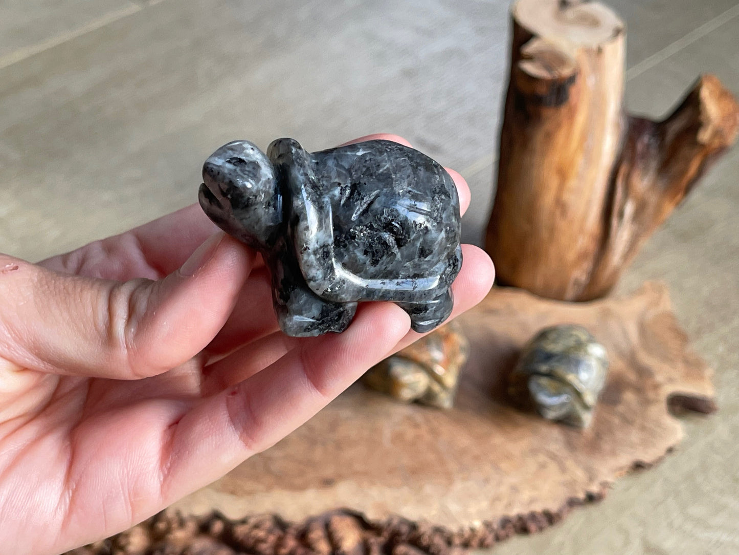 Carved turtles medium
