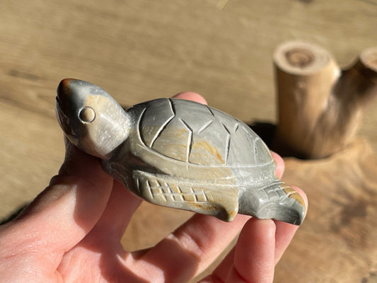 Polychrome jasper turtle P9