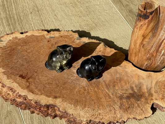 Black cats | Black obsidian and Golden sheen obsidian