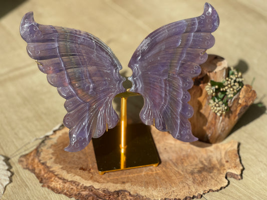 Rainbow fluorite butterfly wings | Personal collection