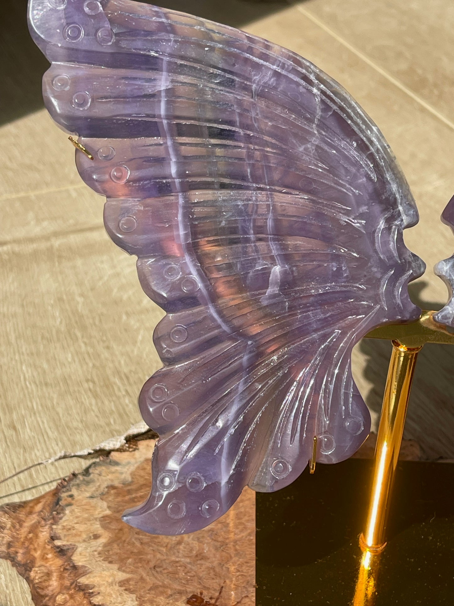 Rainbow fluorite butterfly wings | Personal collection