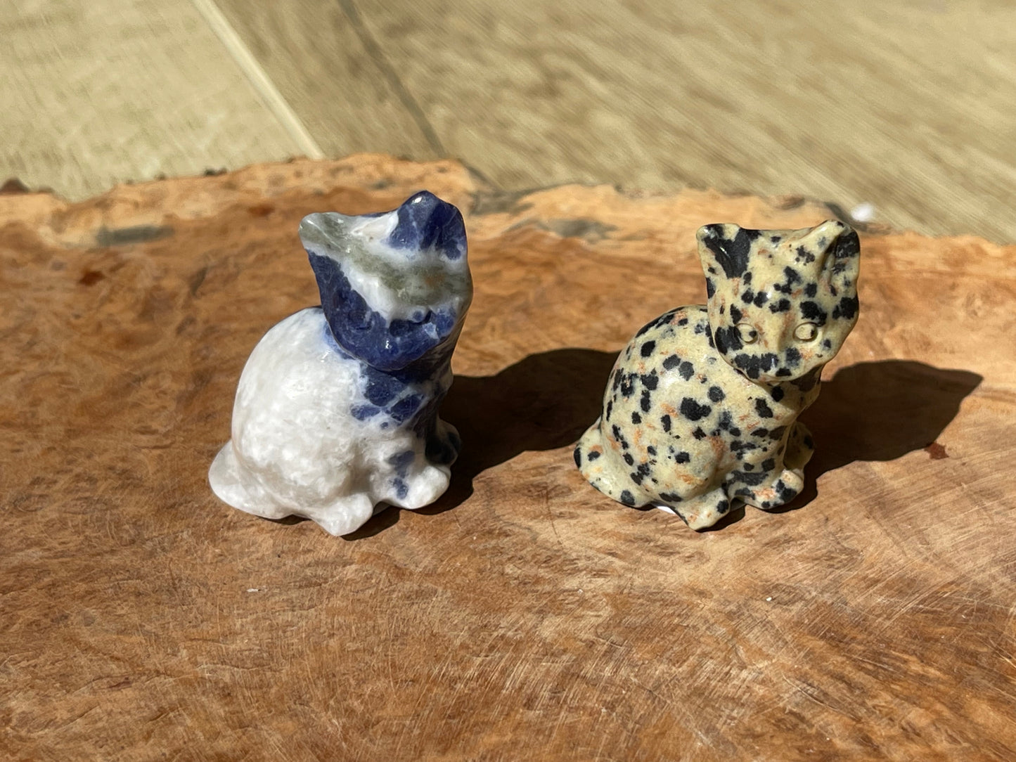 Mini animals | Cats