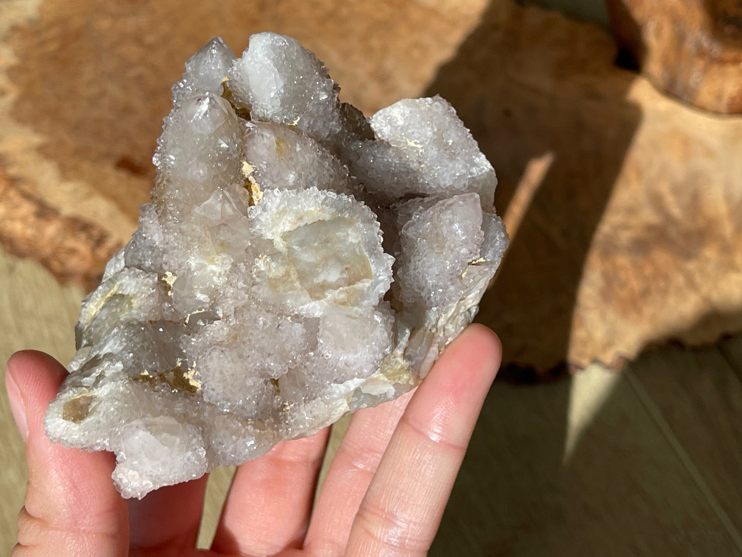 Spirit quartz cactus cluster medium | South Africa